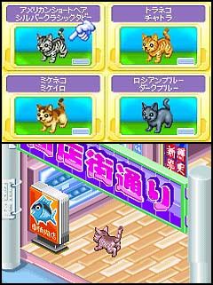 Amazon | みんなのソフトシリーズ2980 かわいい子猫 | ゲームソフト