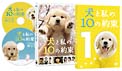 犬と私の10の約束 プレミアム・エディション 犬と私の10の約束 プレミアム・エディション
