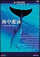 海中遊泳〜Into The Sea〜 海中遊泳〜Into The Sea〜