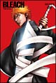 BLEACH 尸魂界 潜入篇 1 BLEACH 尸魂界 潜入篇 1