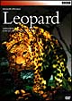 ヒョウ・・・闇からの使者　Wildlife　Specials