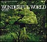 WONDERFUL WORLD(通常盤) WONDERFUL WORLD(通常盤)