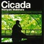 Cicada（通常盤）