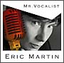 MR．VOCALIST