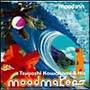 ｍｏｏｄ　ｉｎｎ