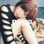 pupa(通常盤) pupa(通常盤)