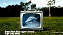 Ｂｒａｎｄ　Ｎｅｗ　Ｗａｖｅ　Ｕｐｐｅｒ　Ｇｒｏｕｎｄ