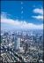 �n���u������[MHBW-246/7][DVD]