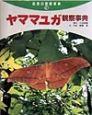 ヤママユガ観察事典