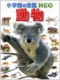 動物