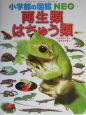 両生類・はちゅう類