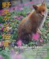 野生からの伝言 野生からの伝言