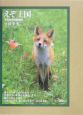 えぞ王国 写真北海道動物記 えぞ王国 写真北海道動物記