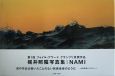 Ｎａｍｉ　梶井照陰写真集