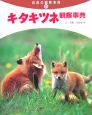 キタキツネ観察事典 キタキツネ観察事典