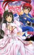 武闘少女姫桜輝