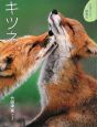 キツネ キツネ