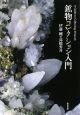 鉱物コレクション入門