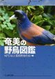 奄美の野鳥図鑑