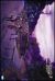 CLANNAD AFTER STORY (7)(��������)[PCBE-53107][DVD]