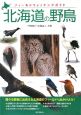 北海道の野鳥