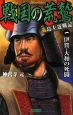 戦国の荒鷲　島左近戦記　伊賀・大和の死闘（1）