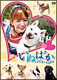 「いぬばか」ナビゲートＤＶＤ