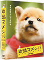 連続テレビドラマ　幼獣マメシバ