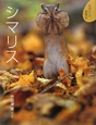 シマリス シマリス
