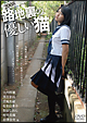 路地裏の優しい猫　２００８