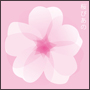 桜ぴあの－ピアノで聴く人気桜ソングス