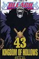 BLEACH－ブリーチ－（43）