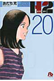 H2（20）