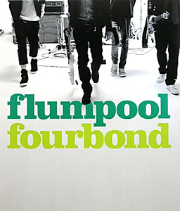 ｆｌｕｍｐｏｏｌ　１ｓｔ　Ａｒｔｉｓｔ　Ｂｏｏｋ[]
