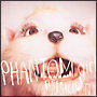 ＰＨＡＮＴＯＭ　ｇｉｒｌ