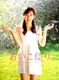 皆藤愛子セカンド写真集 DVD付き 「あいこ便り」 皆藤愛子セカンド写真集 DVD付き 「あいこ便り」