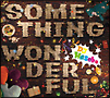 ＳＯＭＥＴＨＩＮＧ　ＷＯＮＤＥＲＦＵＬ　