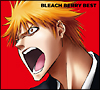 BLEACH BERRY BEST(DVD付) BLEACH BERRY BEST(DVD付)