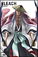 ＢＬＥＡＣＨ　斬魄刀異聞篇