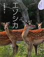 エゾシカ エゾシカ