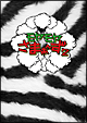 モヤモヤさまぁ〜ず2　DVD－BOX（VOL．10、VOL．11）