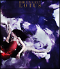 LOTUS(DVD付)