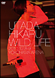 WILD LIFE WILD LIFE
