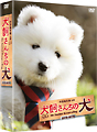 連続テレビドラマ　犬飼さんちの犬