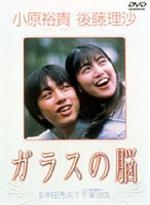 ガラスの脳[]