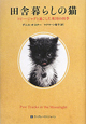 田舎暮らしの猫