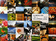 OLYMPUS PENで撮った40人のPhoto Letter OLYMPUS PENで撮った40人のPhoto Letter