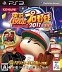 実況パワフルプロ野球2011決定版 実況パワフルプロ野球2011決定版