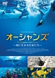 キングダム・オブ・オーシャンズ