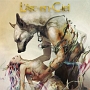 CHASE(DVD付) CHASE(DVD付)
